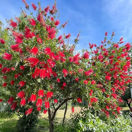 Tosa - Latina Mare Sabaudia * Fogliano (Latina)