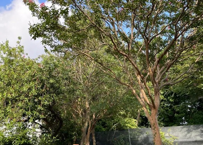 Tosa - Latina Mare Sabaudia Holiday home *