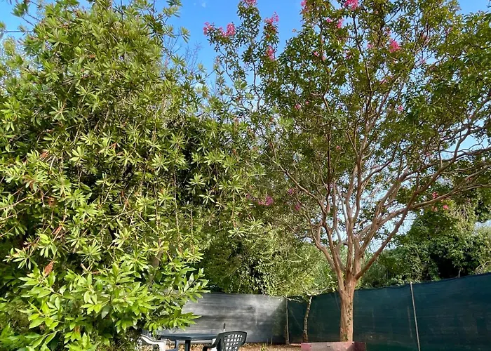 Holiday home Tosa - Latina Mare Sabaudia *