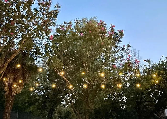 Tosa - Latina Mare Sabaudia Holiday home *