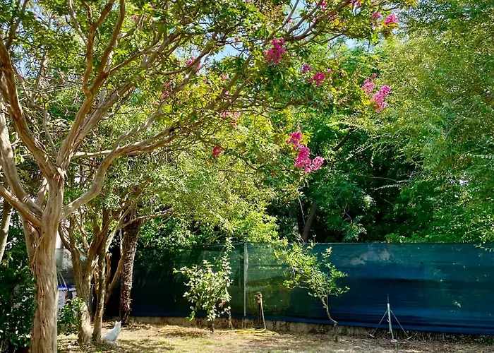 Tosa - Latina Mare Sabaudia *